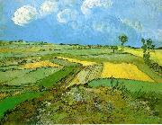 Vincent Van Gogh Wheat Fields at Auvers Under Clouded Sky painting